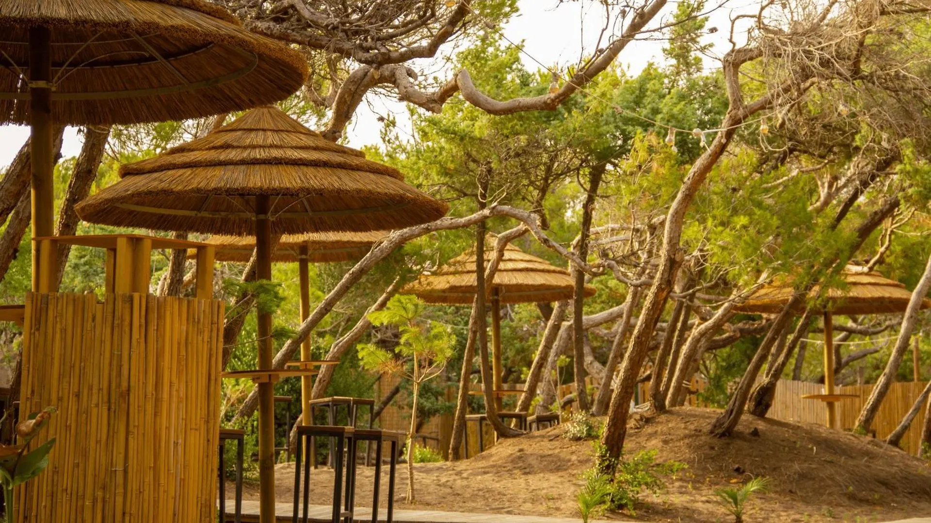 Csa Hotel Beach & Park Marina Di Bibbona
