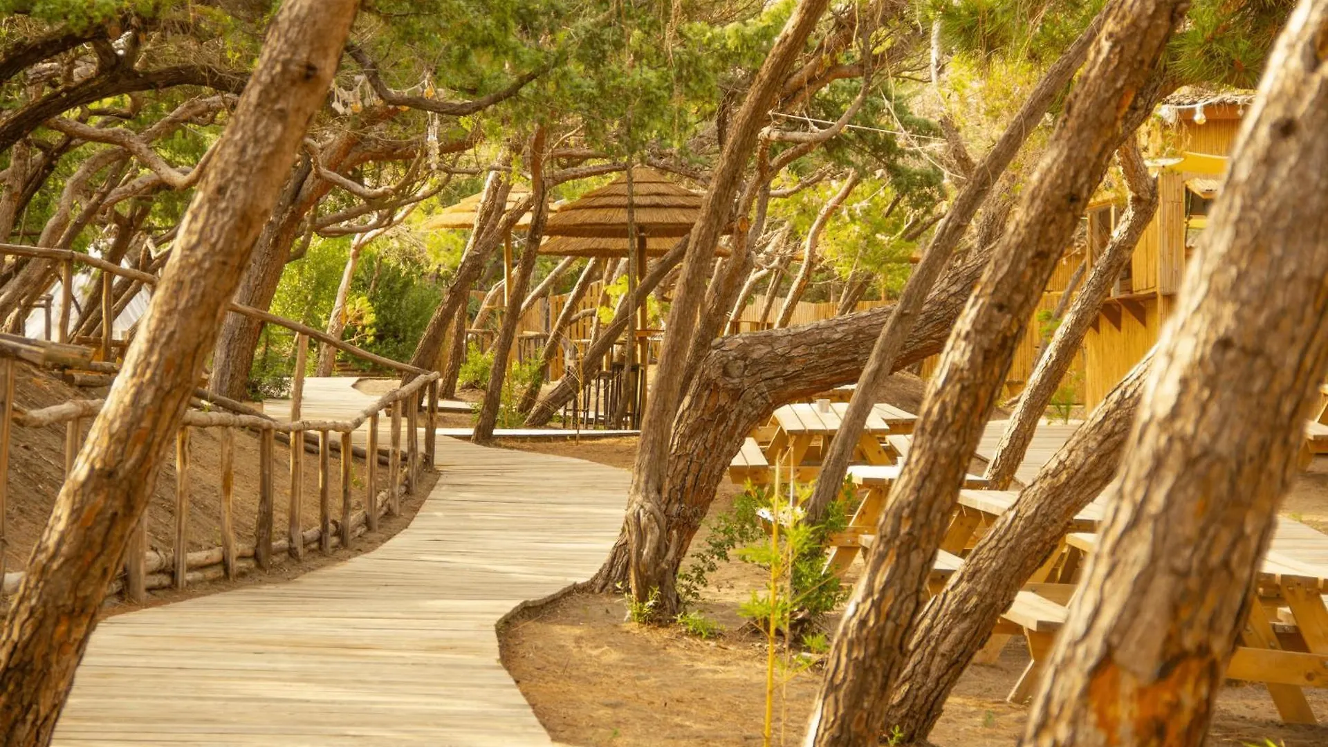 Csa Hotel Beach & Park Marina Di Bibbona