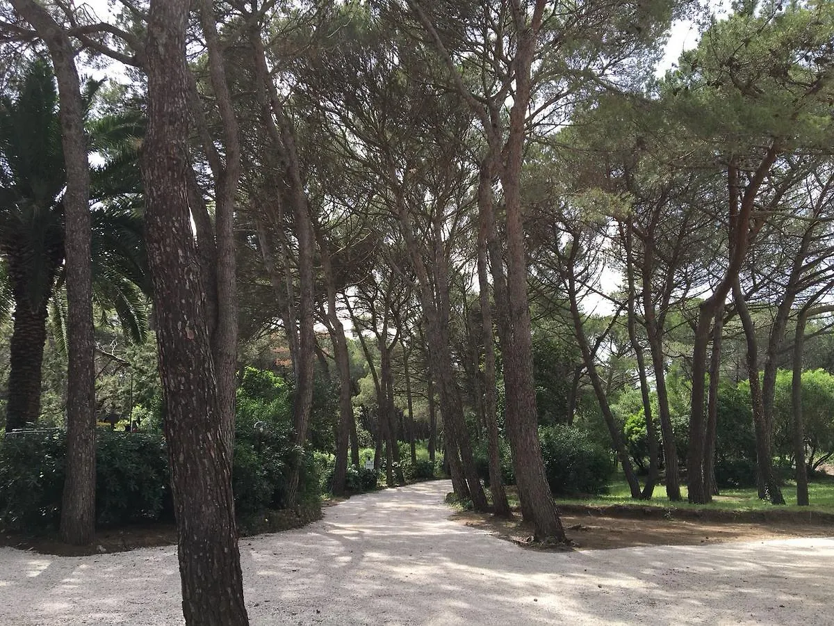 Csa Hotel Beach & Park Marina Di Bibbona